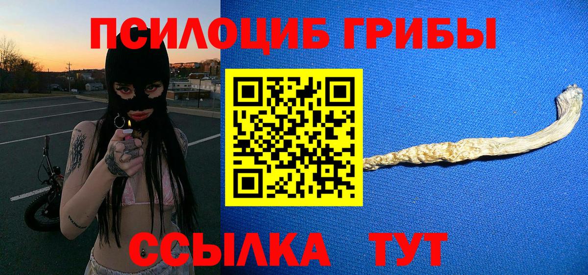 Псилоцибиновые грибы Psilocybe Октябрьский