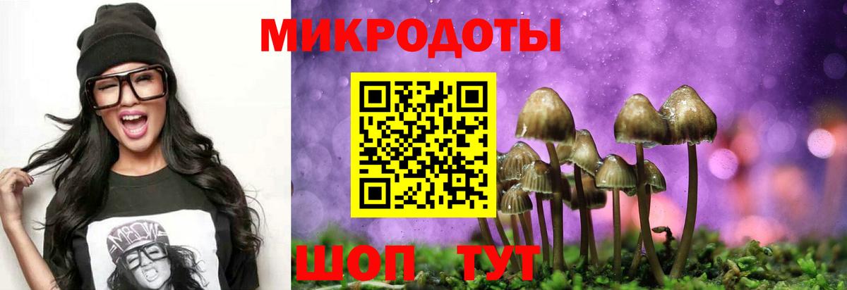 Псилоцибиновые грибы Psilocybe  купить закладку  Октябрьский  Вход с VPN  Галлюциногенные грибы GOLDEN TEACHER 